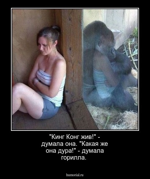 "Кинг Конг жив!" - думала она.
"Какая же она дура!" - думала горилла.