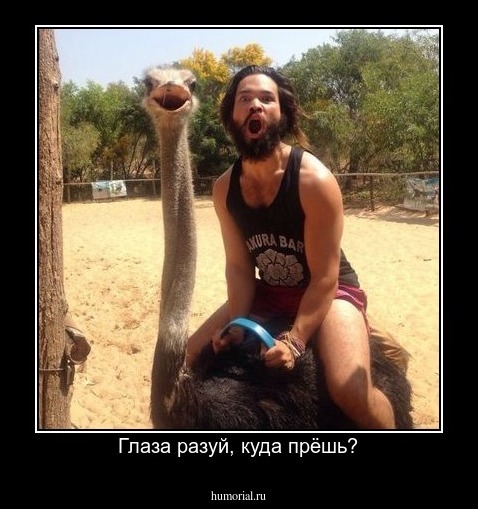 Глаза разуй, куда прёшь?