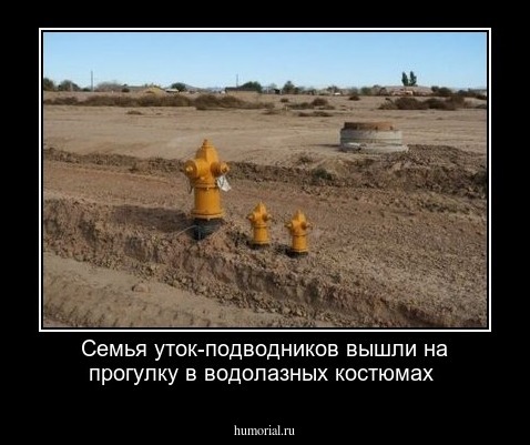 Семья уток-подводников вышли на прогулку в водолазных костюмах