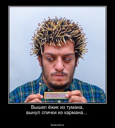 Вышел ёжик из тумана, вынул спички из кармана...