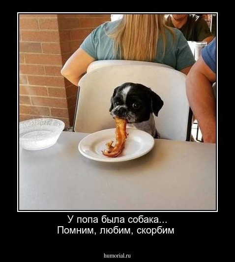 У попа была собака... Помним, любим, скорбим
