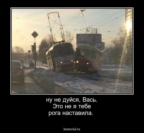 ну не дуйся, Вась. Это не я тебе рога наставила. 
