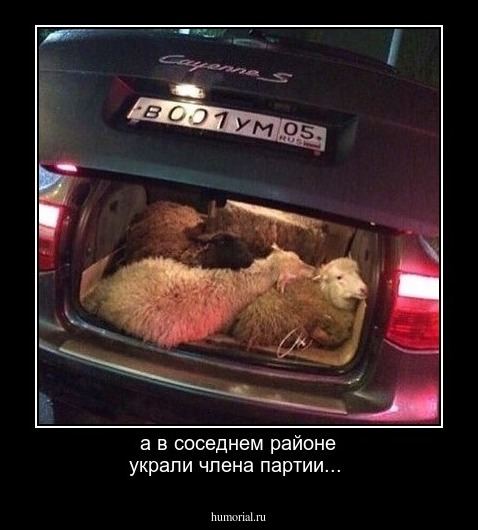 а в соседнем районе украли члена партии...