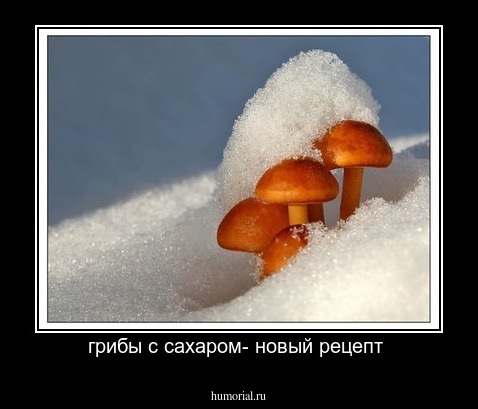 грибы с сахаром- новый рецепт 