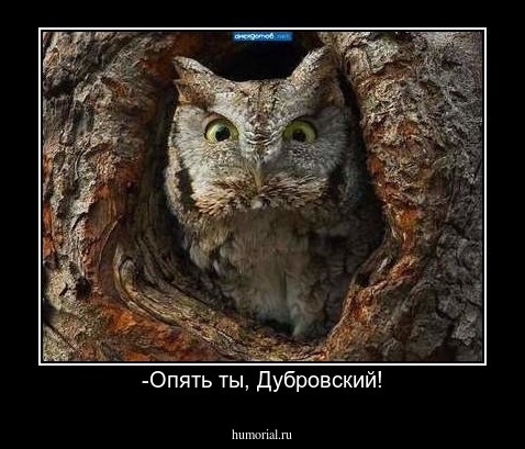 -Опять ты, Дубровский!