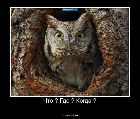 Что ? Где ? Когда ?