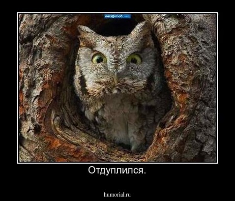 Отдуплился.
