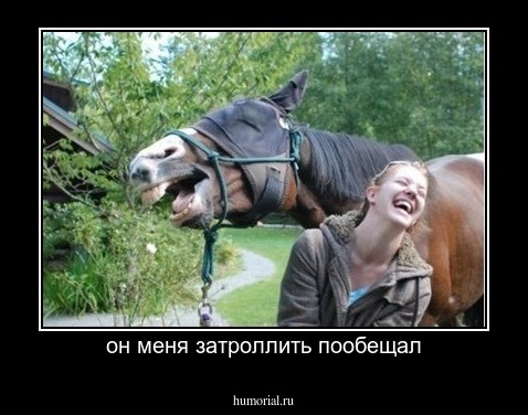 он меня затроллить пообещал