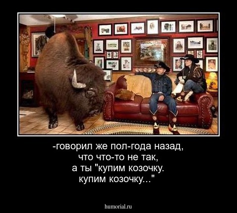 -говорил же пол-года назад, что что-то не так, а ты "купим козочку. купим козочку..."