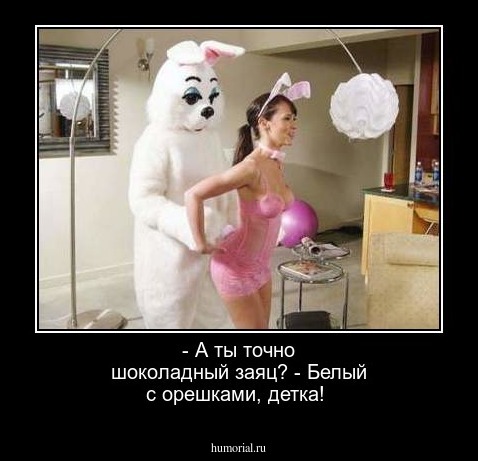 - А ты точно шоколадный заяц? - Белый с орешками, детка!