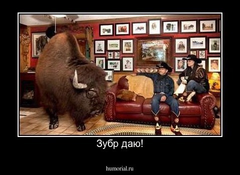 Зубр даю!