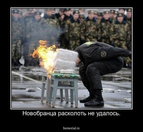 Новобранца расколоть не удалось.