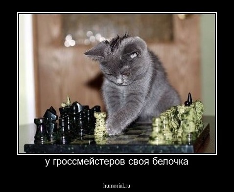 у гроссмейстеров своя белочка
