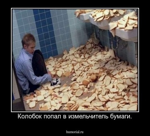 Колобок попал в измельчитель бумаги.