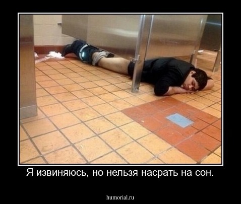 Я извиняюсь, но нельзя насрать на сон.