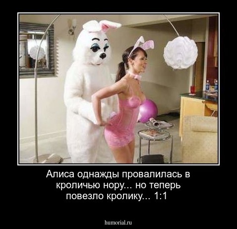 Алиса однажды провалилась в кроличью нору... но теперь повезло кролику... 1:1