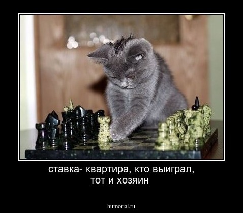 ставка- квартира, кто выиграл, тот и хозяин
