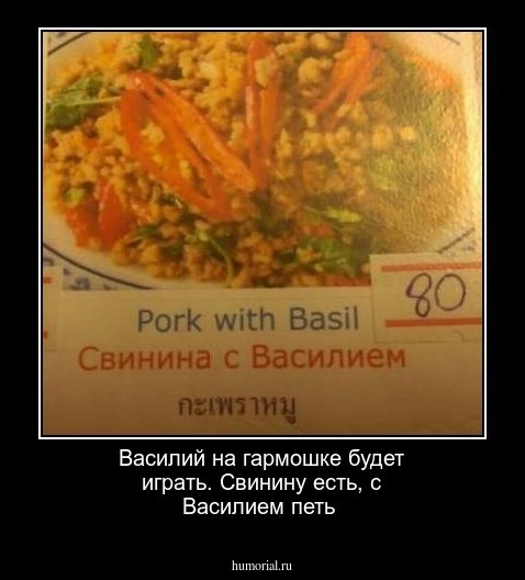Василий на гармошке будет играть. Свинину есть, с Василием петь