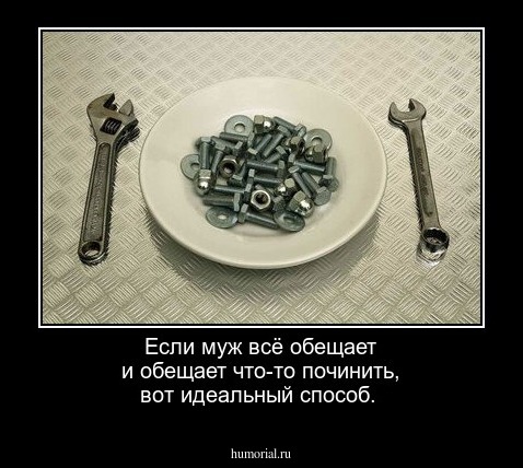 Если муж всё обещает и обещает что-то починить, вот идеальный способ.