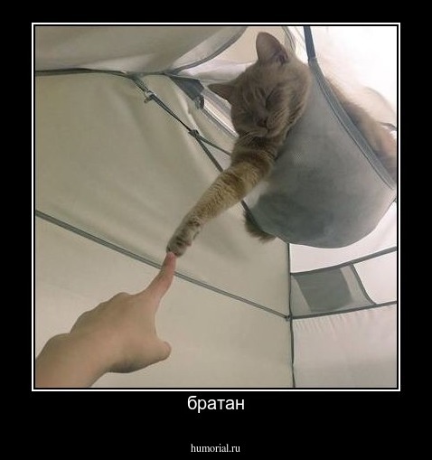 братан