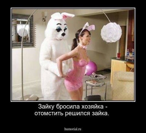 Зайку бросила хозяйка - отомстить решился зайка.