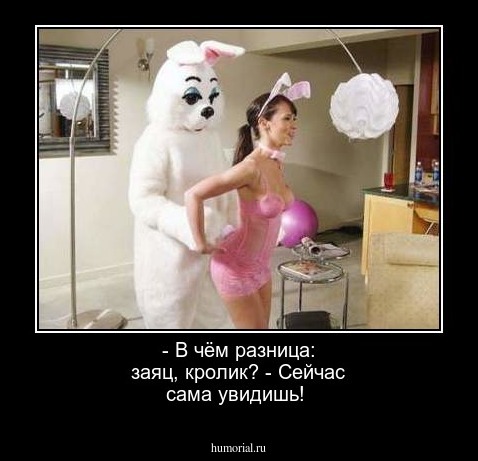 - В чём разница: заяц, кролик?    - Сейчас сама увидишь!