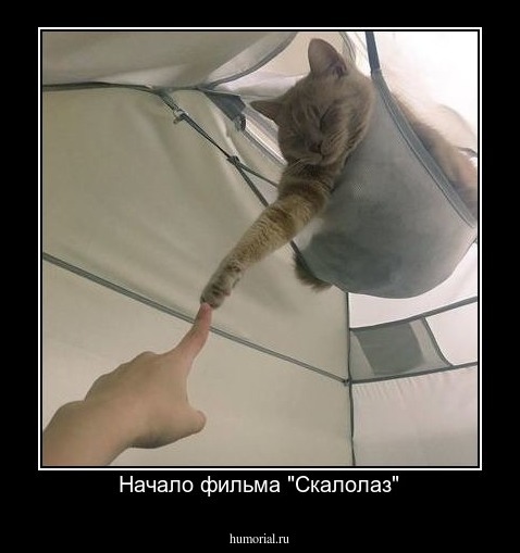 Начало фильма "Скалолаз"