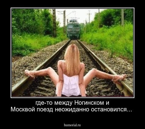 где-то между Ногинском и Москвой поезд неожиданно остановился...