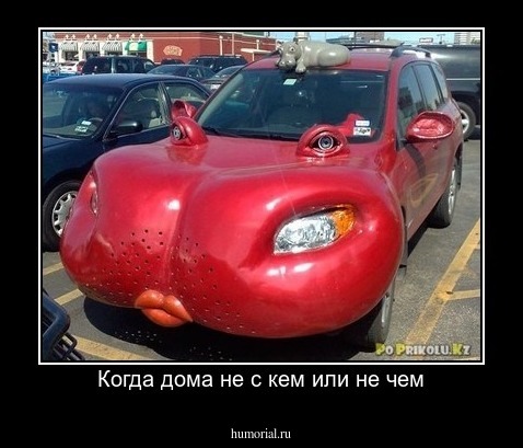 Когда дома не с кем или не чем