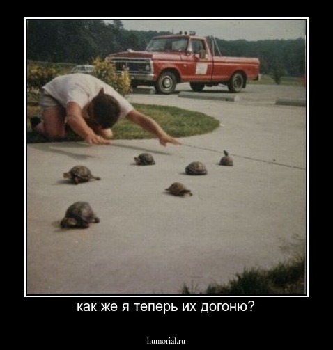 как же я теперь их догоню?