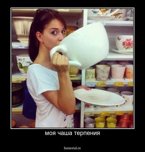 моя чаша терпения