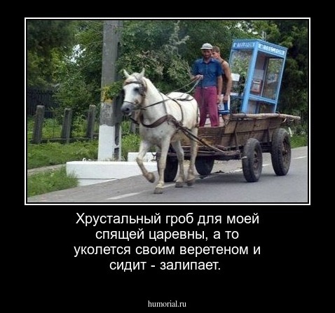 Хрустальный гроб для моей спящей царевны, а то  уколется своим веретеном и сидит - залипает.