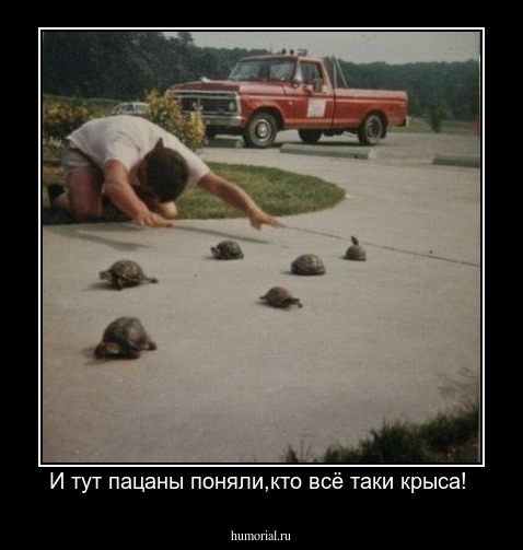 И тут пацаны поняли,кто всё таки крыса! 