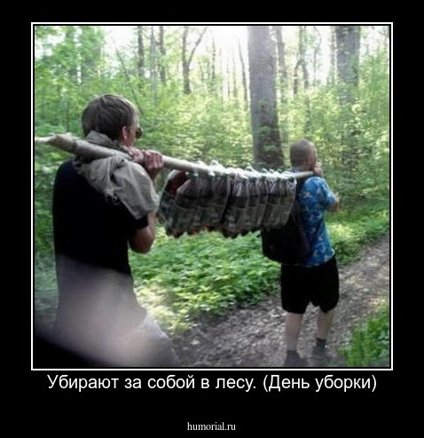Убирают за собой в лесу. (День уборки)