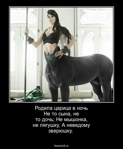 Родила царица в ночь
Не то сына, не то дочь;
Не мышонка, не лягушку,
А неведому зверюшку.