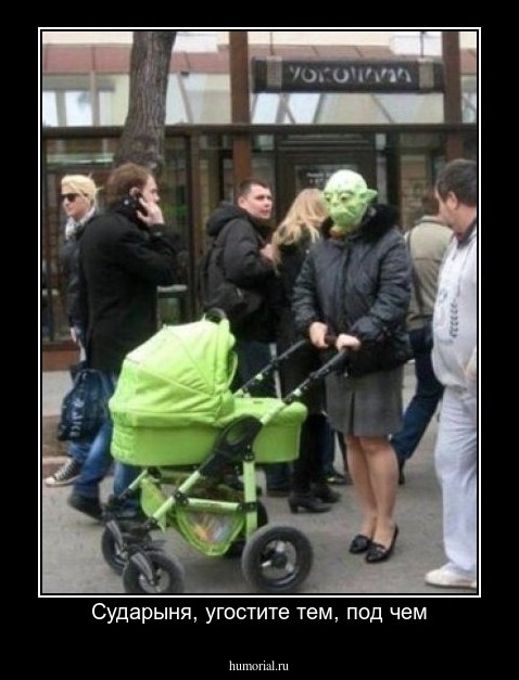 Сударыня, угостите тем, под чем