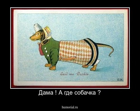 Дама ! А где собачка ?