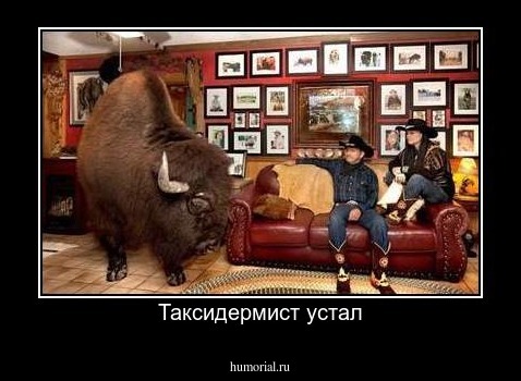 Таксидермист устал