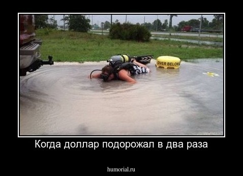 Когда доллар подорожал в два раза