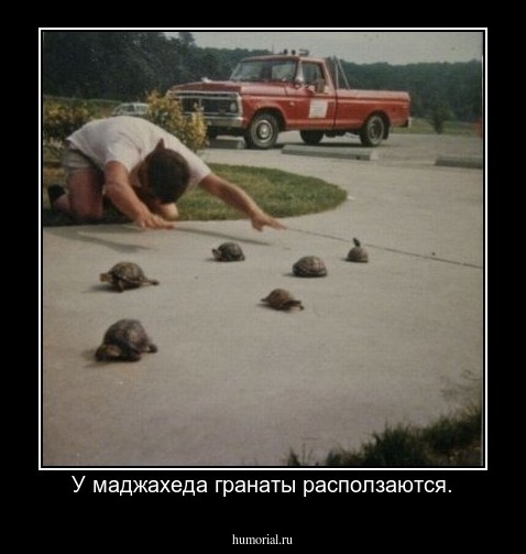 У маджахеда гранаты расползаются.