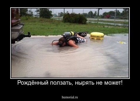 Рождённый ползать, нырять не может!