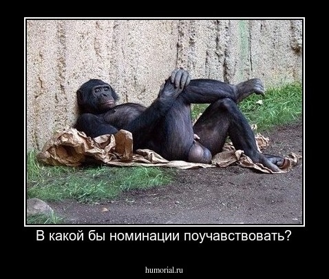 В какой бы номинации поучавствовать?