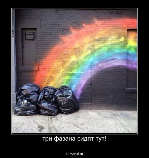 три фазана сидят тут!