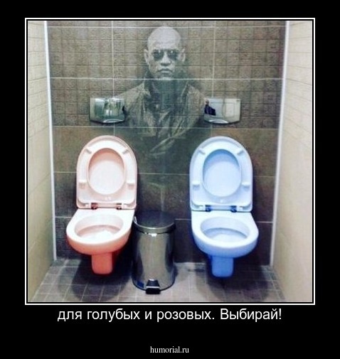 для голубых и розовых. Выбирай!