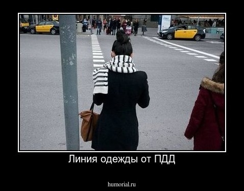 Линия одежды от ПДД