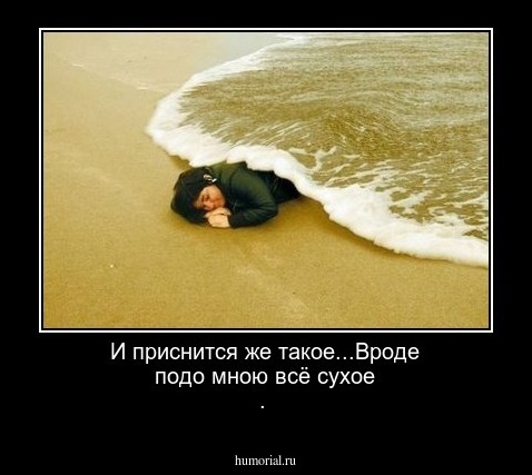 И приснится же такое...Вроде подо мною всё сухое .