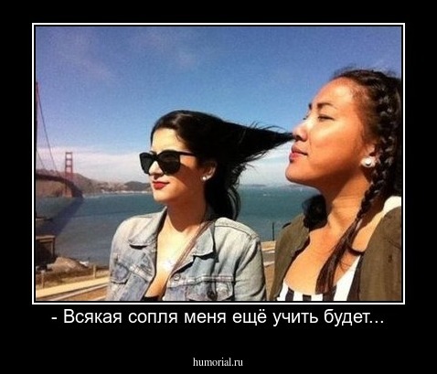 - Всякая сопля меня ещё учить будет...