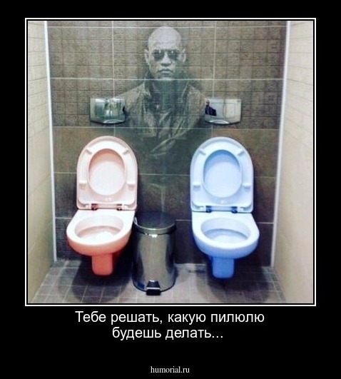 Тебе решать, какую пилюлю будешь делать...