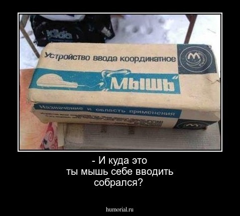 -  И куда это ты мышь себе вводить собрался?