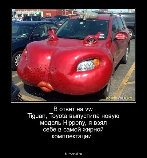 В ответ на vw Tiguan, Toyota выпустила новую модель Hippony, я взял себе в самой жирной комплектации.